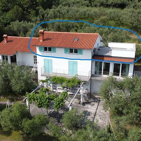 House Among Olive Trees With A Sea View 1 Διαμέρισμα Ankaran Εξωτερικό φωτογραφία
