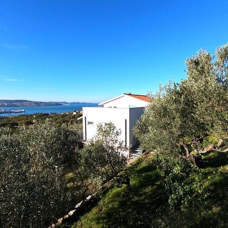 House Among Olive Trees With A Sea View 1 Διαμέρισμα Ankaran Εξωτερικό φωτογραφία