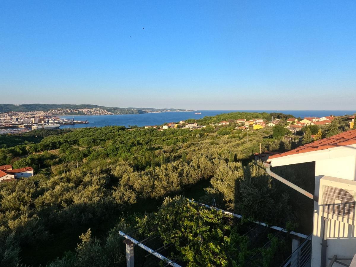 House Among Olive Trees With A Sea View 1 Διαμέρισμα Ankaran Εξωτερικό φωτογραφία