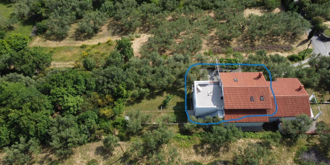 House Among Olive Trees With A Sea View 1 Διαμέρισμα Ankaran Εξωτερικό φωτογραφία