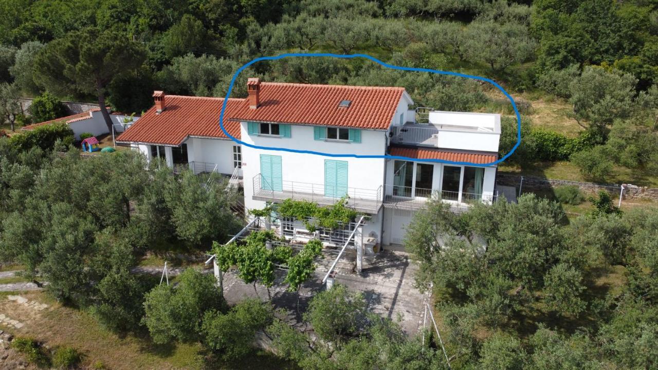 House Among Olive Trees With A Sea View 1 Διαμέρισμα Ankaran Εξωτερικό φωτογραφία