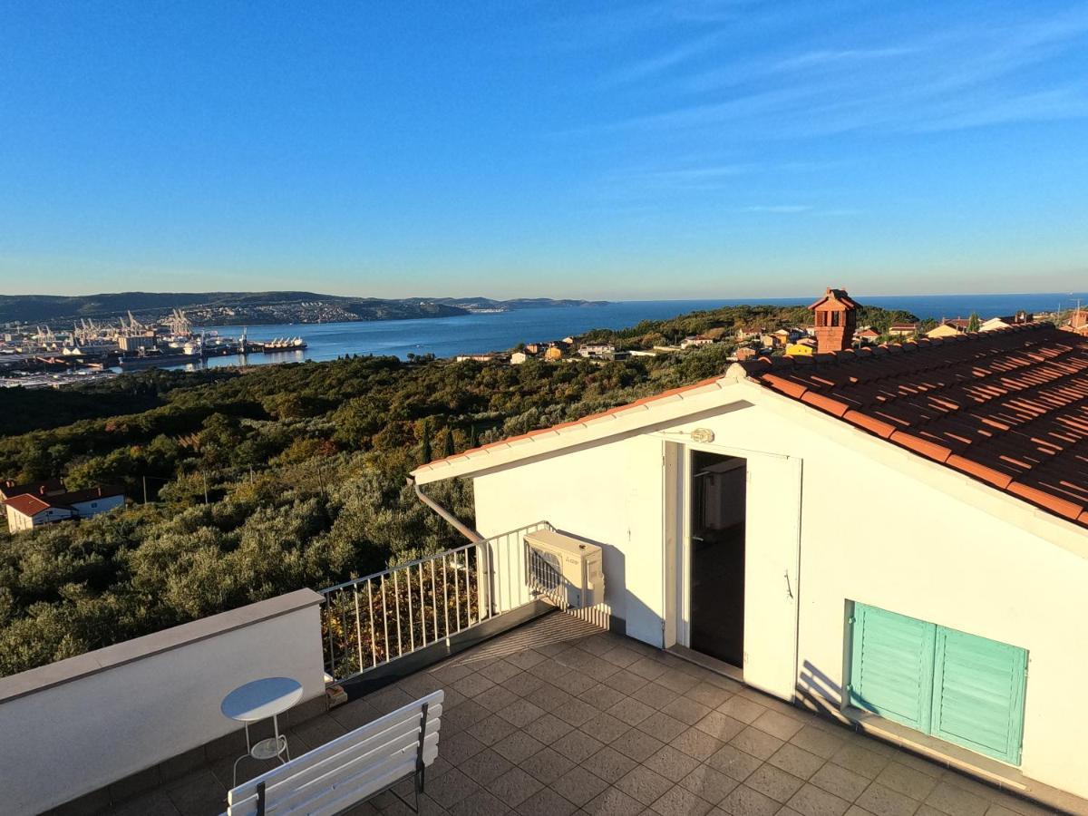 House Among Olive Trees With A Sea View 1 Διαμέρισμα Ankaran Εξωτερικό φωτογραφία
