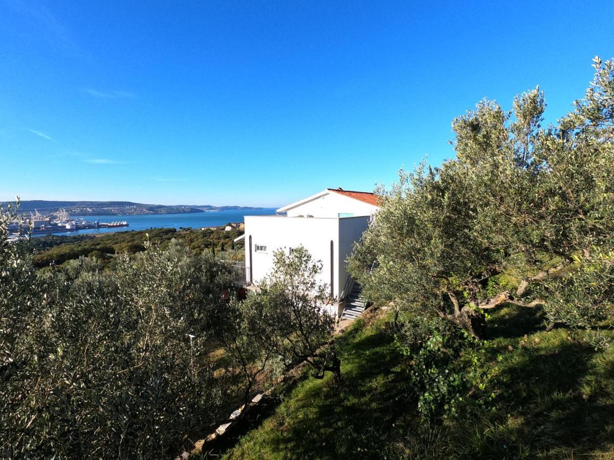 House Among Olive Trees With A Sea View 1 Διαμέρισμα Ankaran Εξωτερικό φωτογραφία